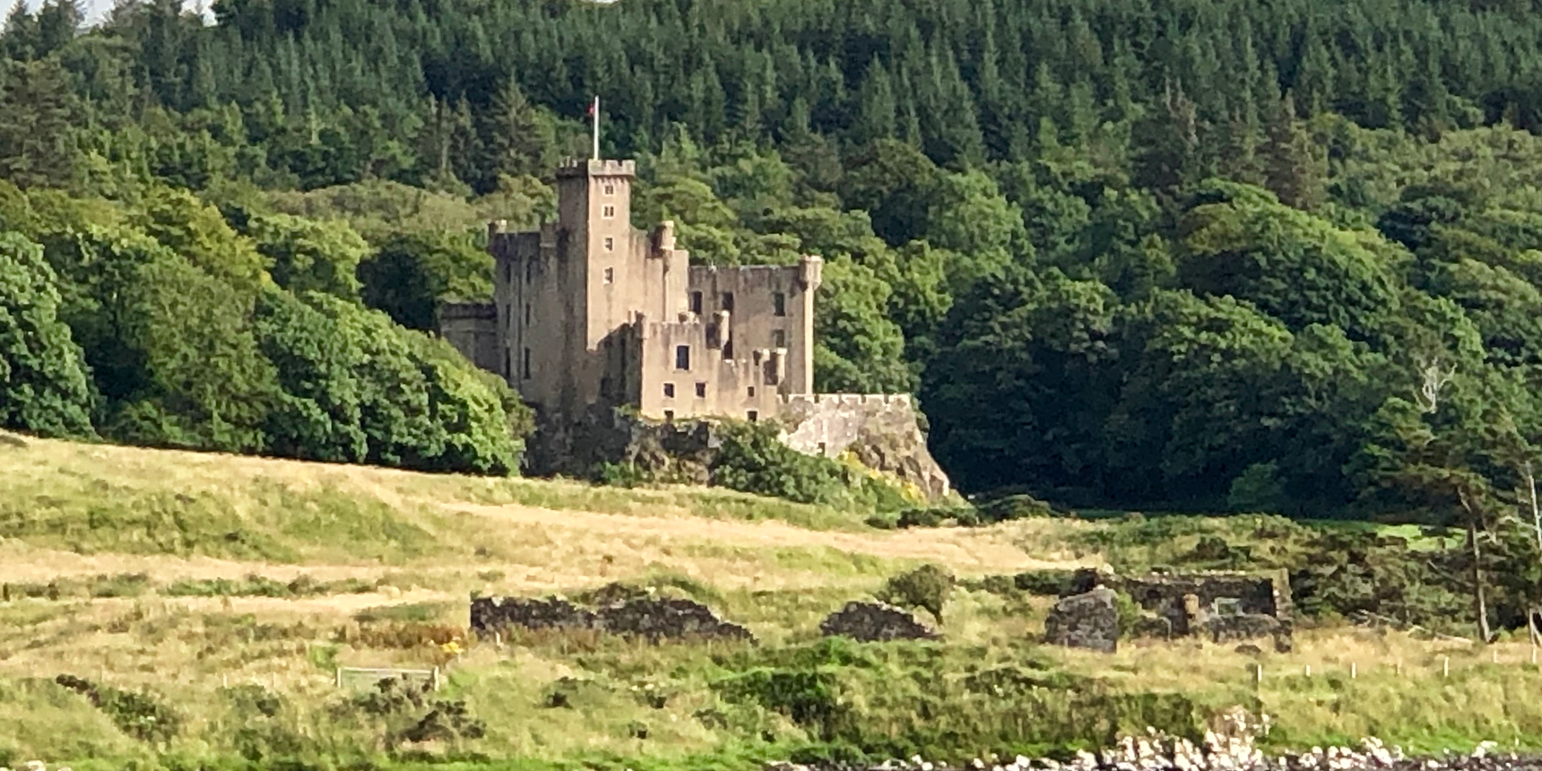 Stone castle amid forest and grassy meadow