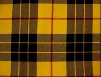 Yellow and black plaid pattern fabric.