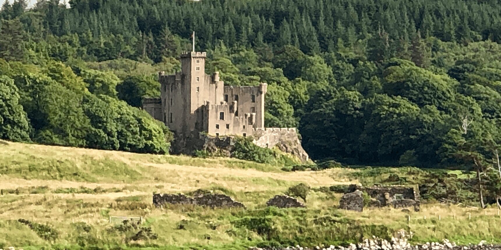 Stone castle amid forest and grassy meadow