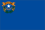 Nevada state flag with emblem and star.